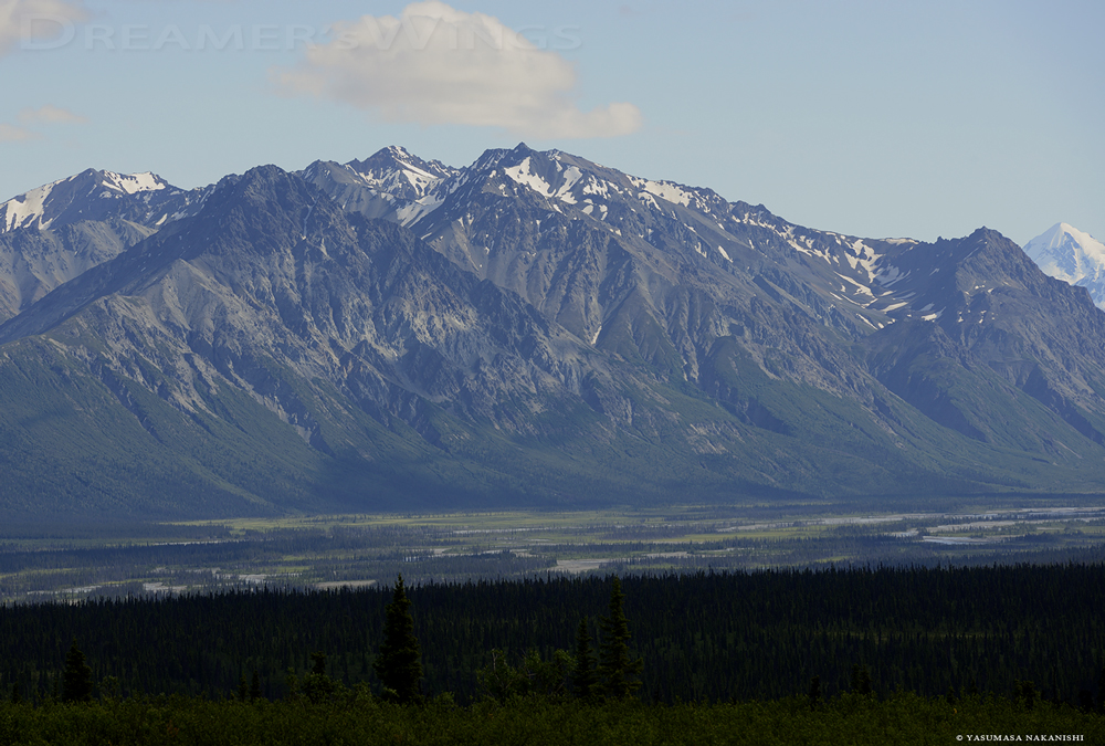 Alaskan Landscape