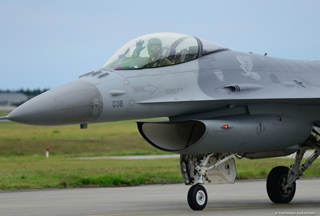 Lockheed Martin F-16C Fighting Falcon