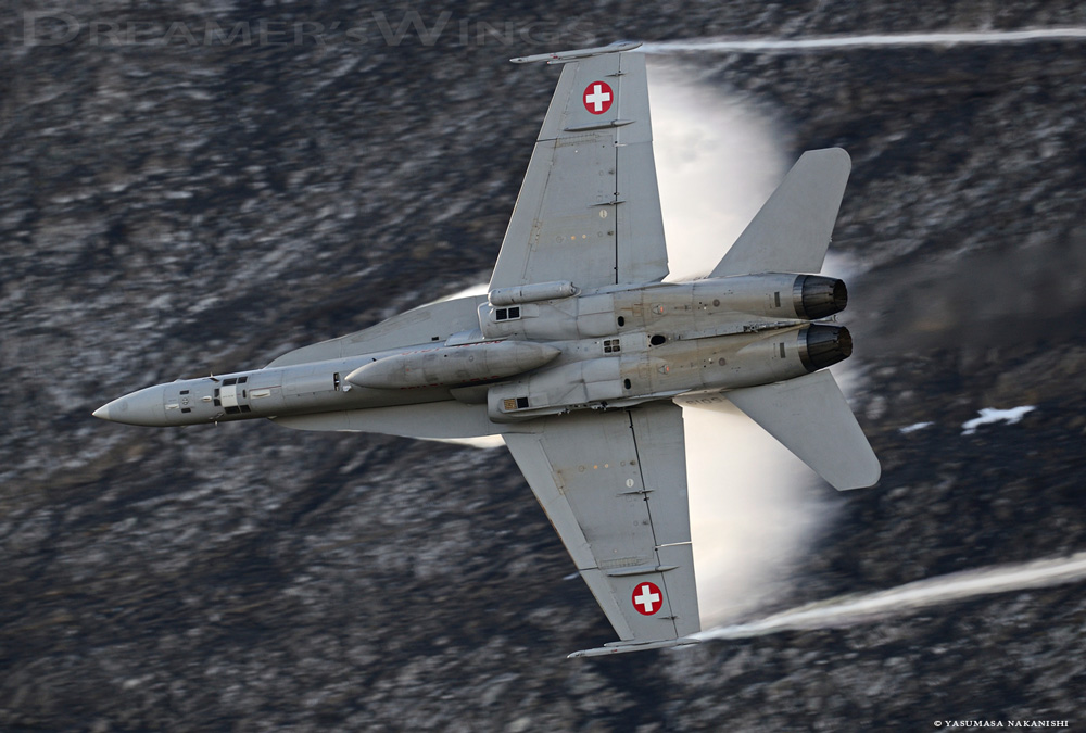 McDonnell Douglas F/A-18C Hornet McDonnell Douglas F/A-18C Hornet