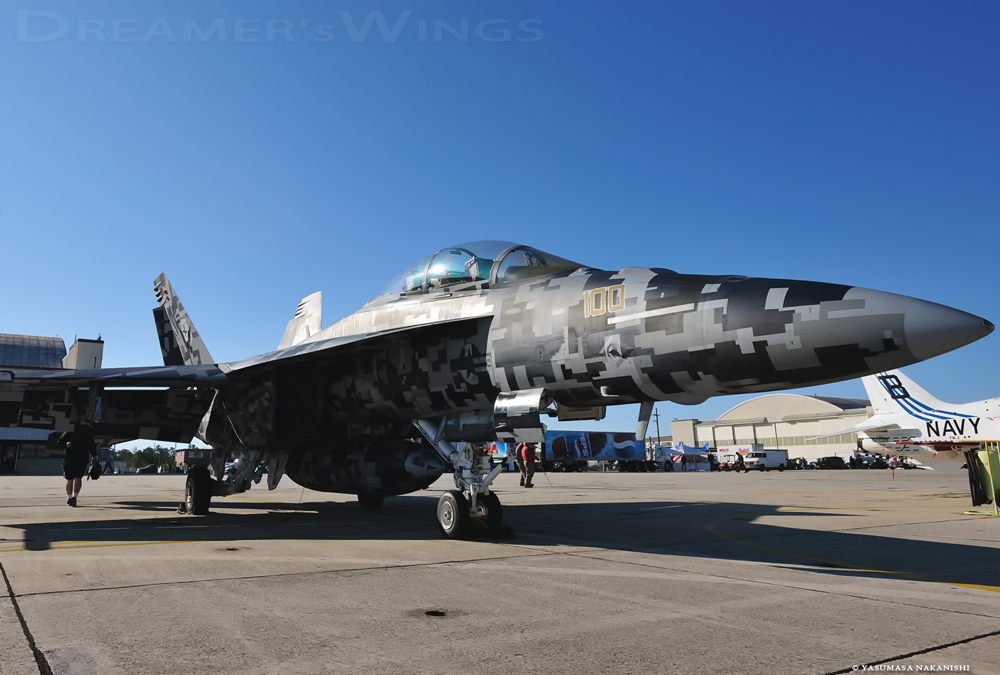 Boeing F/A-18F Super Hornet Boeing F/A-18F Super Hornet