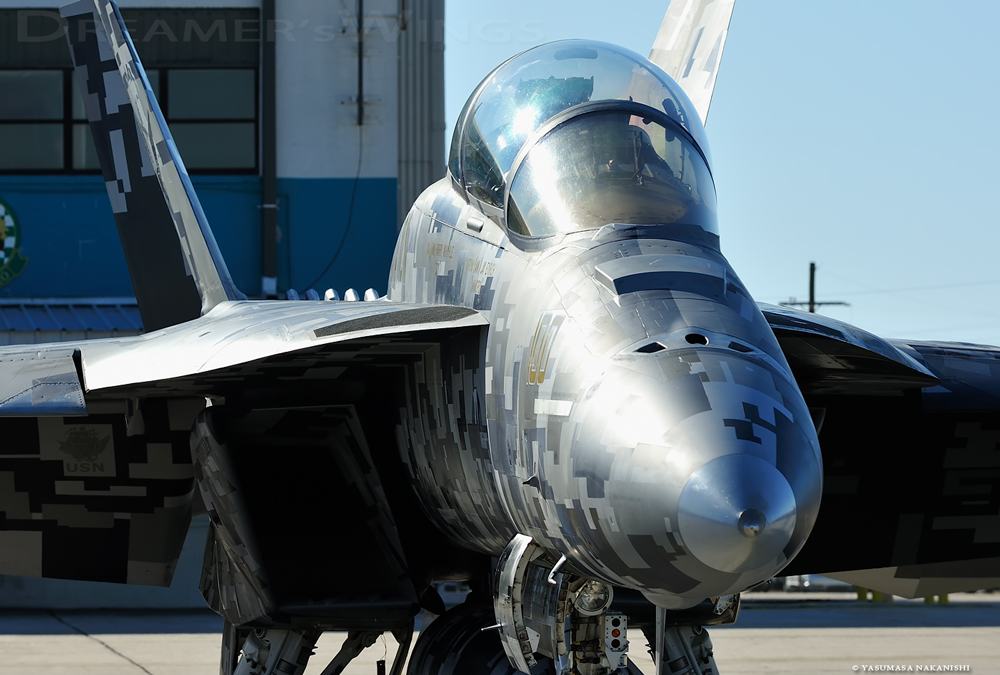 Boeing F/A-18F Super Hornet Boeing F/A-18F Super Hornet
