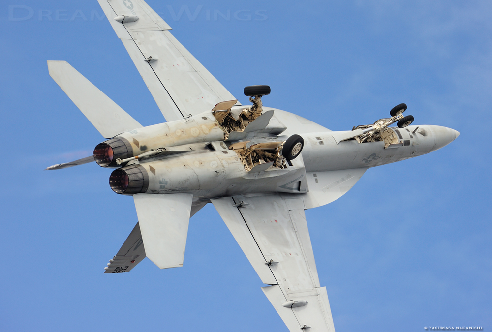 Boeing F/A-18F Super Hornet Boeing F/A-18F Super Hornet