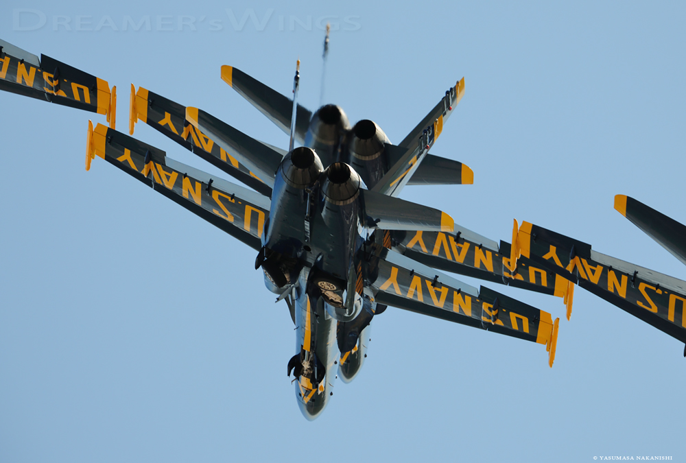 Blue Angles - Boeing F/A-18C/D Hornet Blue Angles - Boeing F/A-18C/D Hornet