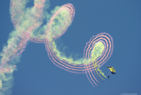 Leap Frogs - United States Navy