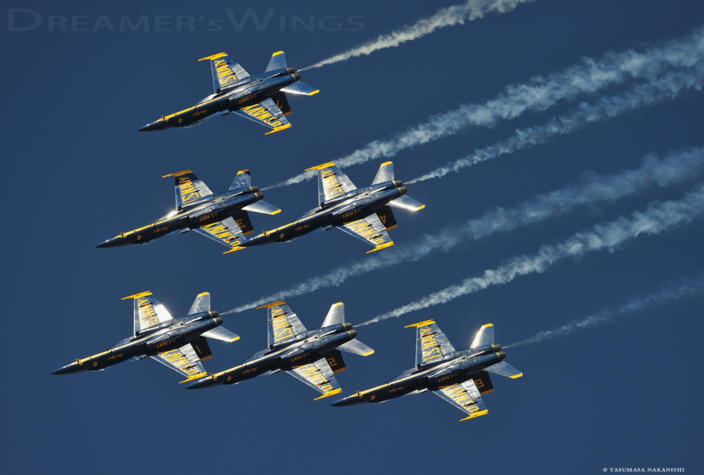 Blue Angles - Boeing F/A-18C/D Hornet Blue Angles - Boeing F/A-18C/D Hornet