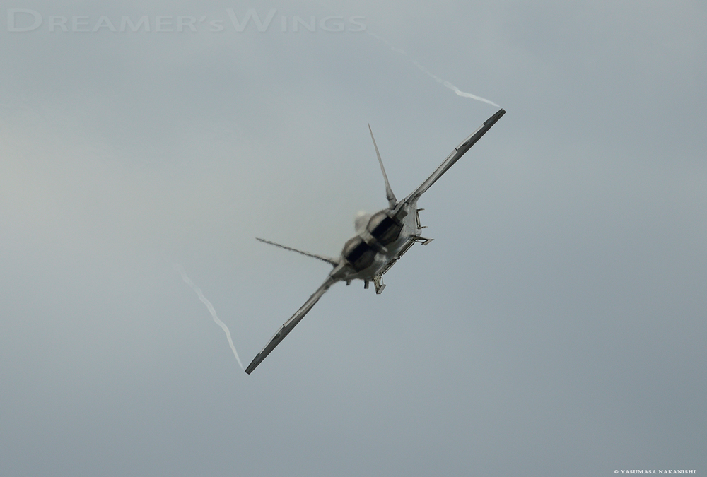 Lockheed Martin F-22 Raptor Lockheed Martin F-22 Raptor