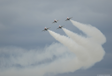 Thunderbirds - Lockheed Martin F-16C Fighting Falcon