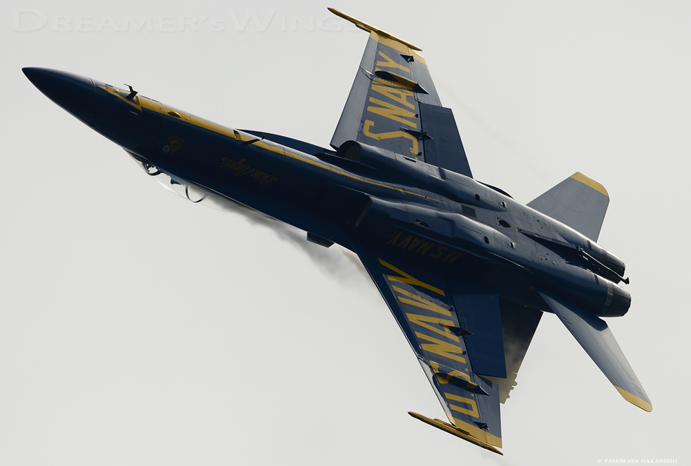 Blue Angels - Boeing F/A-18C Hornet Blue Angels - Boeing F/A-18C Hornet