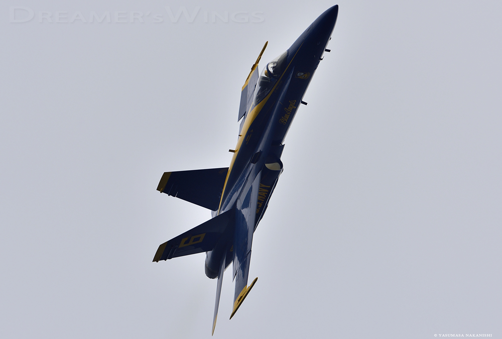 Blue Angels - Boeing F/A-18C Hornet Blue Angels - Boeing F/A-18C Hornet