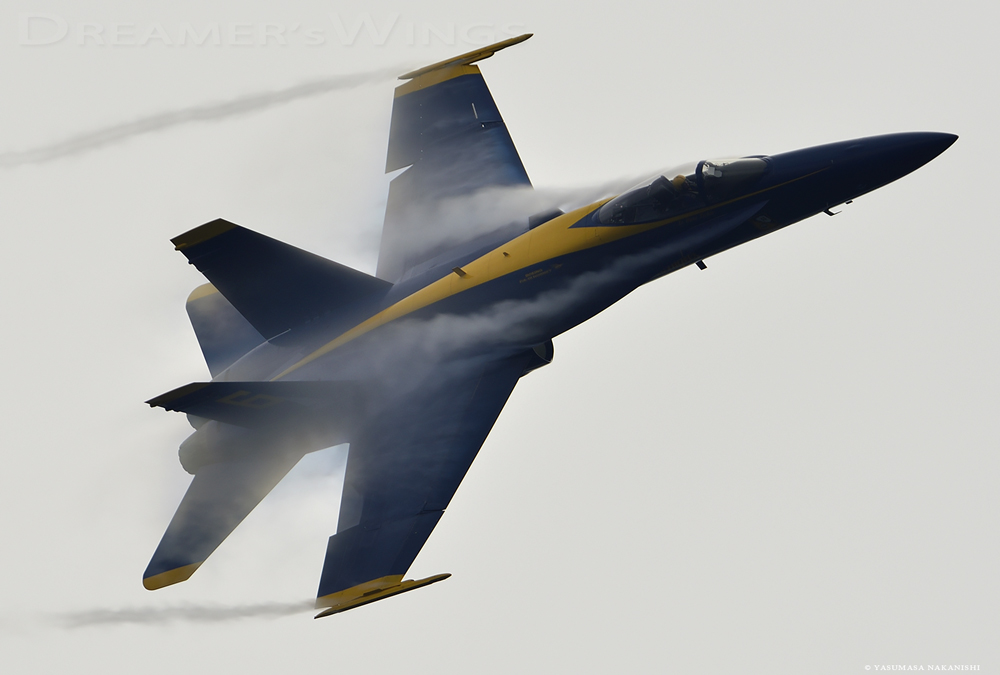 Blue Angels - Boeing F/A-18C Hornet Blue Angels - Boeing F/A-18C Hornet