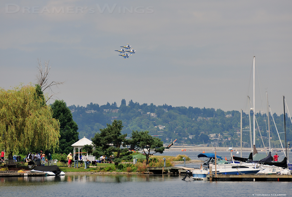 Blue Angels - Boeing F/A-18C Hornet Blue Angels - Boeing F/A-18C Hornet