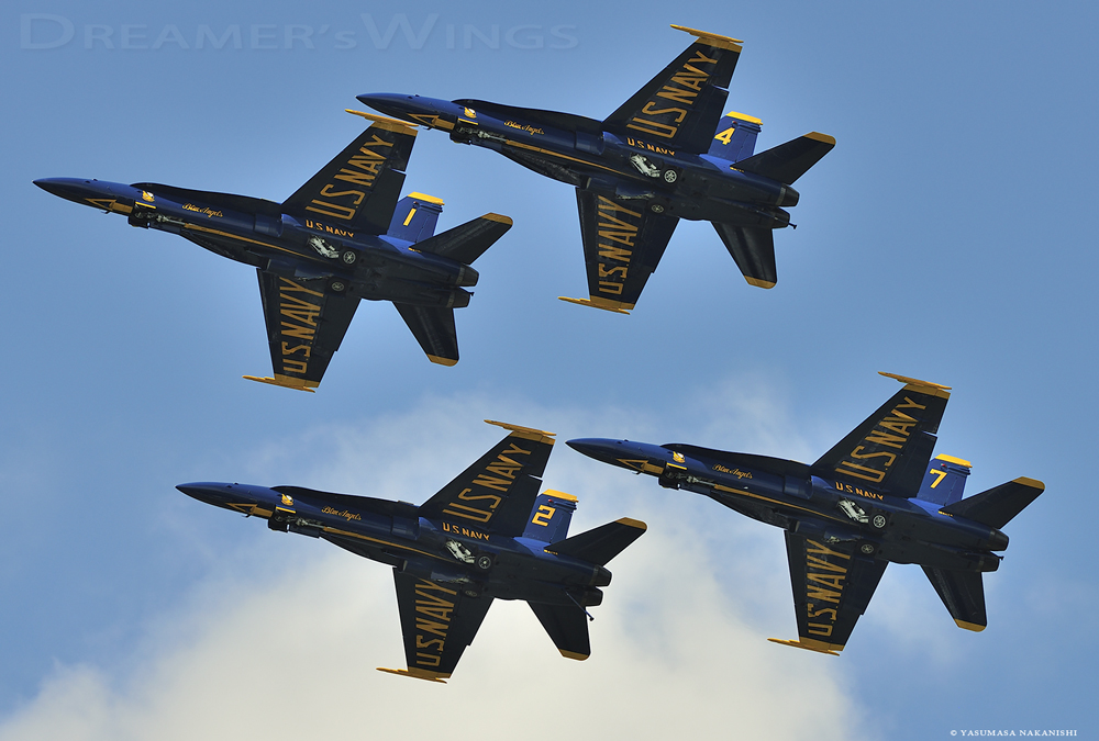 Blue Angels - Boeing F/A-18C Hornet Blue Angels - Boeing F/A-18C Hornet