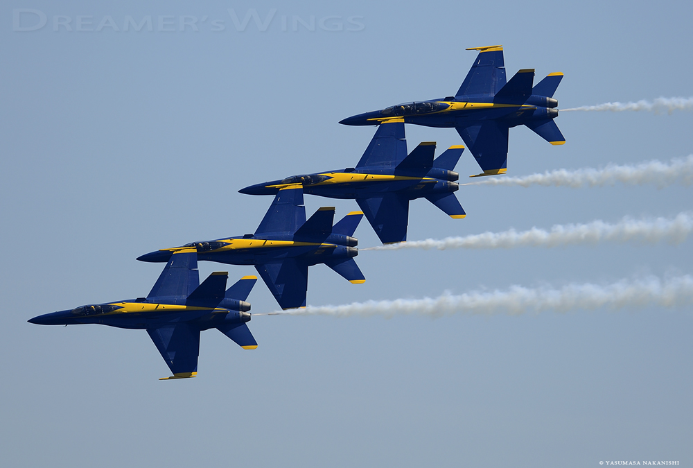 Blue Angles - Boeing F/A-18C/D Hornet Blue Angles - Boeing F/A-18C/D Hornet