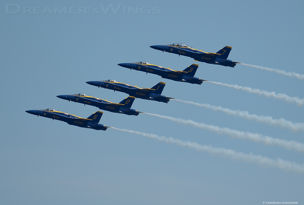 Blue Angles - Boeing F/A-18C/D Hornet Blue Angles - Boeing F/A-18C/D Hornet