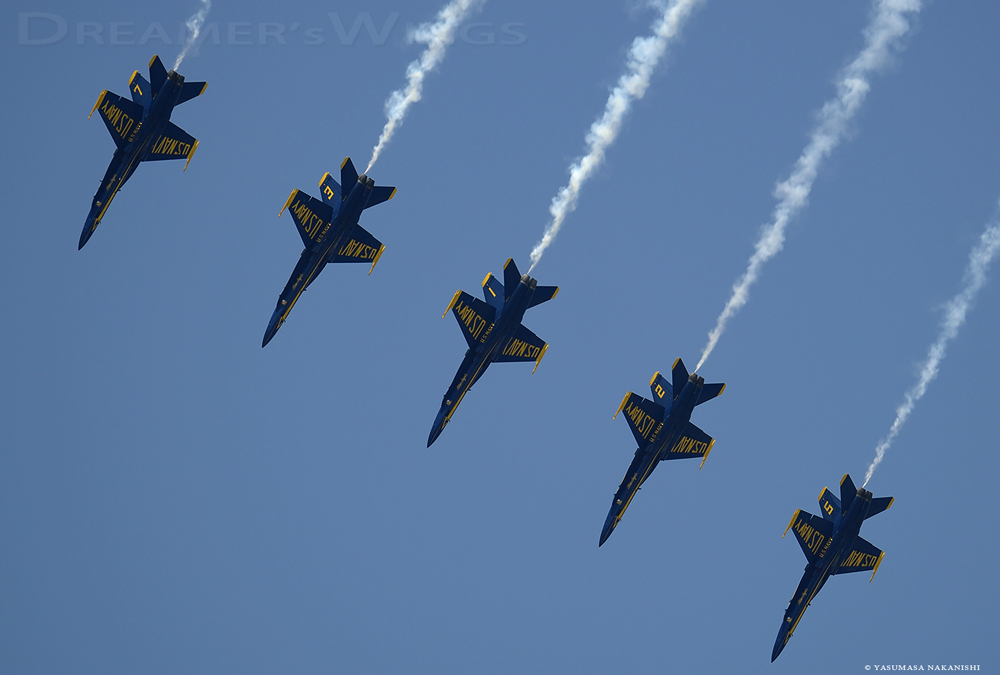 Blue Angles - Boeing F/A-18C/D Hornet Blue Angles - Boeing F/A-18C/D Hornet