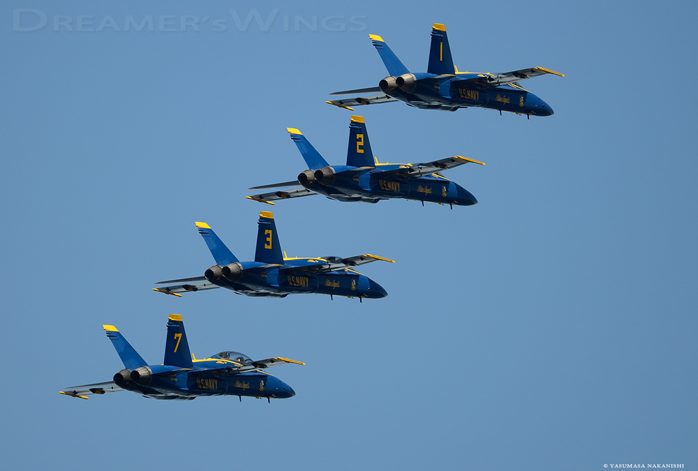 Blue Angles - Boeing F/A-18C/D Hornet Blue Angles - Boeing F/A-18C/D Hornet