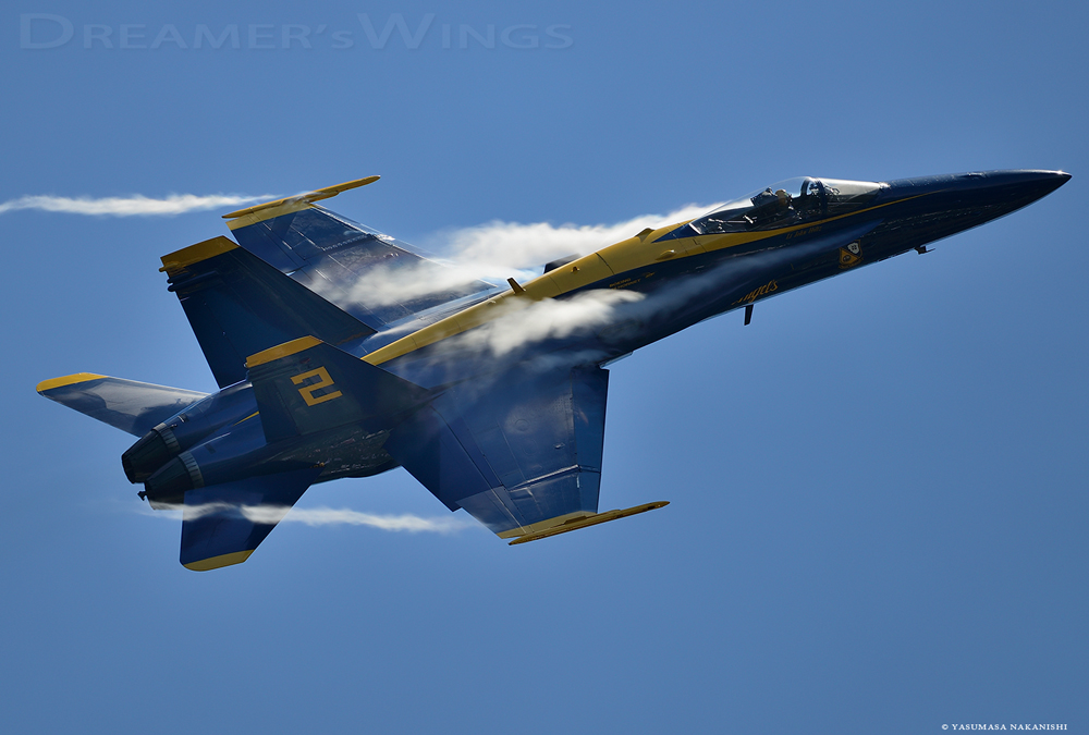 Blue Angles - Boeing F/A-18C Hornet Blue Angles - Boeing F/A-18C Hornet