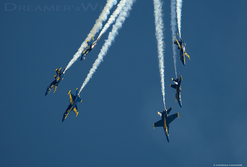 Blue Angles - Boeing F/A-18C/D Hornet Blue Angles - Boeing F/A-18C/D Hornet