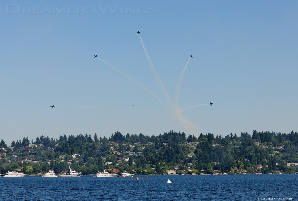 Blue Angles - Boeing F/A-18C/D Hornet Blue Angles - Boeing F/A-18C/D Hornet