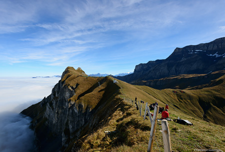 The View from Western Peak