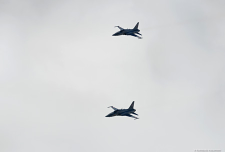 Northrop F-5E Tiger II