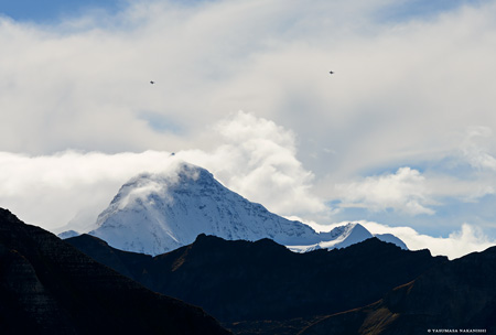 Northrop F-5E Tiger II, Jungfrau