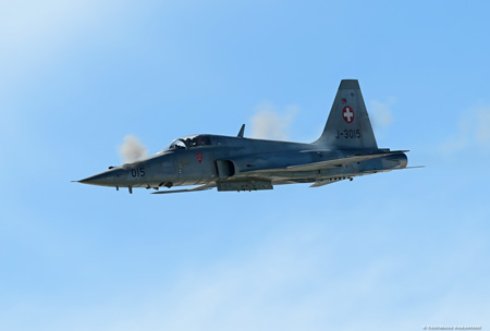 Northrop F-5E Tiger II