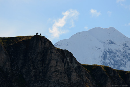 Opposite Photographers & Eiger