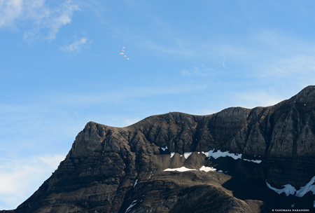Patrouille Suisse