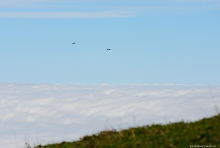 Saab JAS39C Gripen