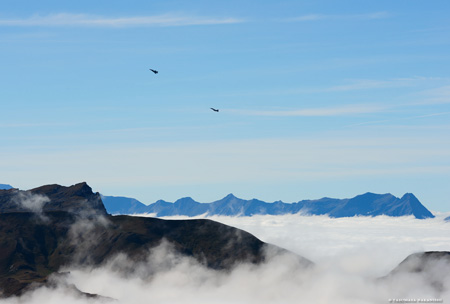 Patrouille Suisse