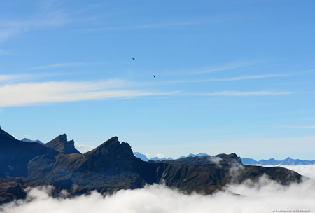 Patrouille Suisse