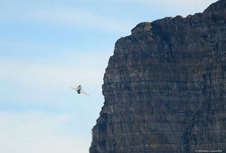 Patrouille Suisse