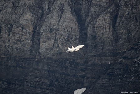 McDonnell Douglas F/A-18C Hornet