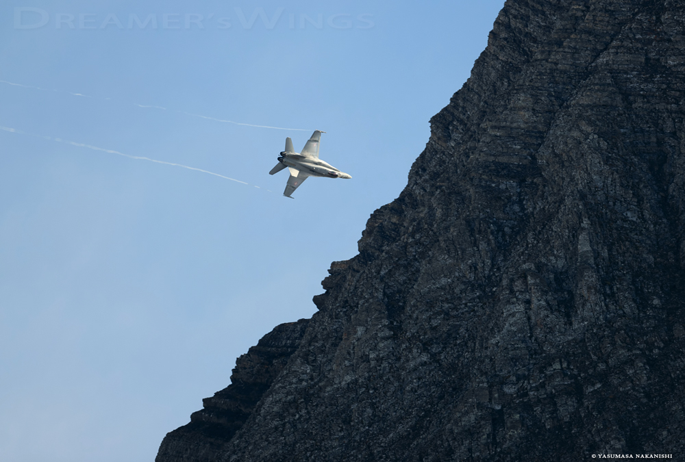 McDonnell Douglas F/A-18C Hornet McDonnell Douglas F/A-18C Hornet