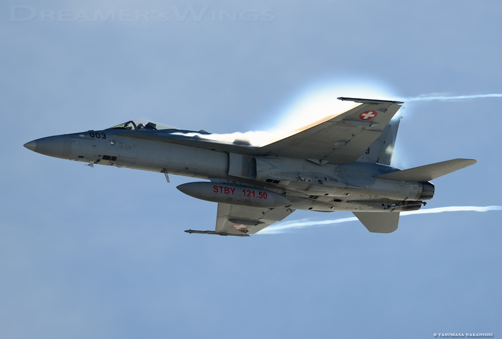 McDonnell Douglas F/A-18C Hornet McDonnell Douglas F/A-18C Hornet
