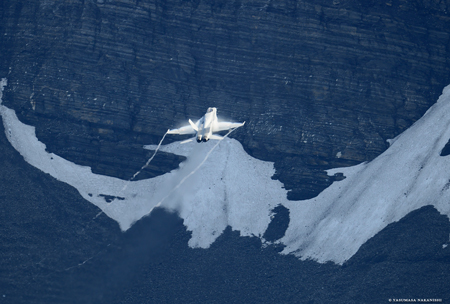 McDonnell Douglas F/A-18C Hornet