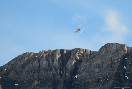 McDonnell Douglas F/A-18C Hornet