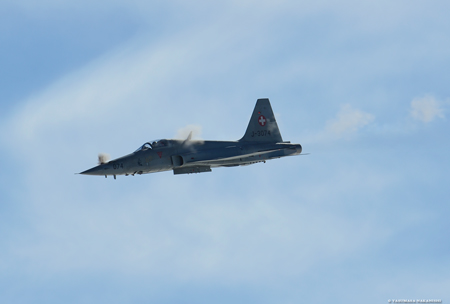Northrop F-5E Tiger II