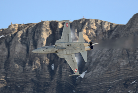 Northrop F-5E Tiger II