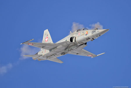 Northrop F-5E Tiger II