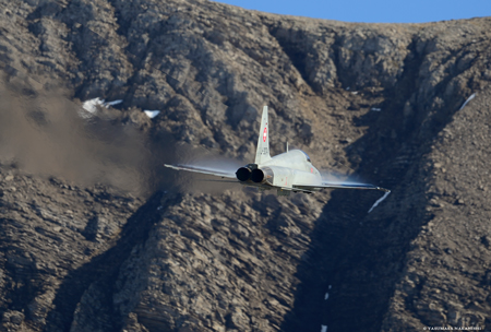 Northrop F-5E Tiger II