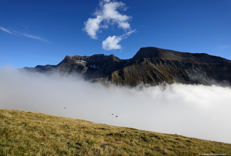 The View from Western Peak