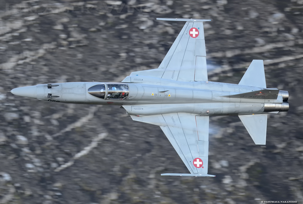 Northrop F-5E Tiger II Northrop F-5E Tiger II