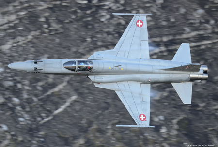 Northrop F-5E Tiger II