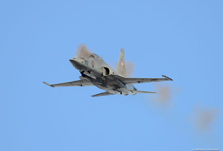 Northrop F-5E Tiger II