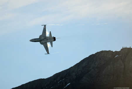Northrop F-5E Tiger II