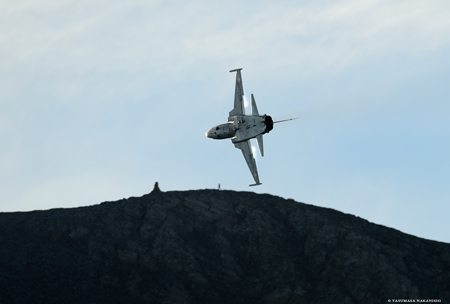 Northrop F-5E Tiger II