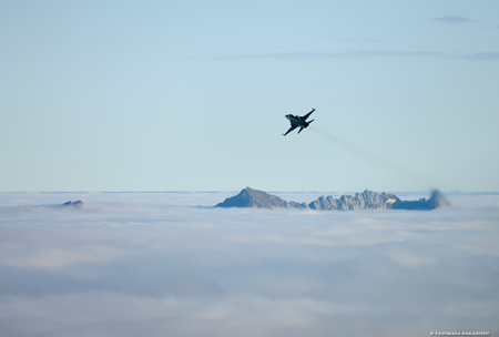 Northrop F-5E Tiger II
