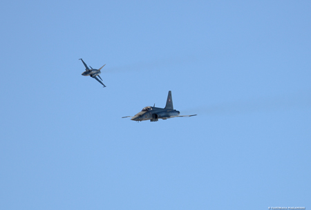 Northrop F-5E Tiger II